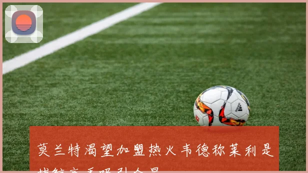 莫兰特渴望加盟热火韦德称莱利是捕鲸高手吸引众星