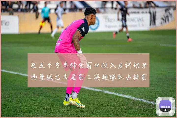 近五个冬季转会窗口投入分析切尔西曼城尤文居前三英超球队占据前十五名中的七席